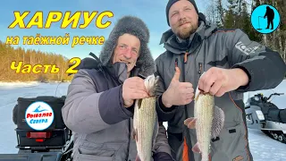 ✅ ОГРОМНЫЙ ХАРИУС НА ТАЁЖНОЙ РЕКЕ (Часть 2) 🎣🐟🐟🐟Архангельская область. #Рыболов_Севера