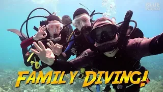 Family Diving in Bonaire (We took the kids diving!)