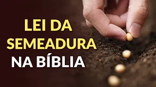 A LEI DA SEMEADURA E DA COLHEITA ESTÁ NA BÍBLIA? QUEM PLANTA COLHE?