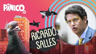 RICARDO SALLES - PÂNICO - 03/11/21