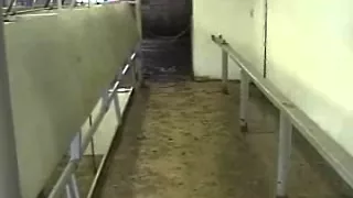 Milking Parlors - Manure Handling