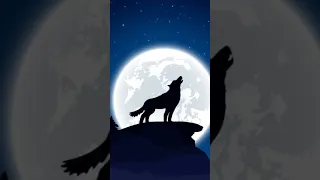 Wolf howling |Wolf View | Wolf sound | Wolf | #wolf #howling