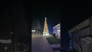 Ледовая арена и новогодняя елка ПСБ в г. Мелитополь