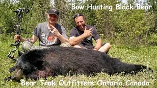 Bow Black Bear arrowed from the ground in Ontario Canada perfect heart shot