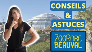 Astuces et Conseils Zoo de Beauval ( mes trucs pour  organiser au mieux sa journée)