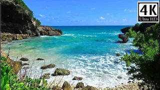 Tropical Wild Beach / Crashing Waves