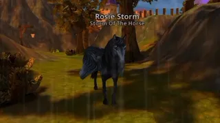 Down ~ Horse Riding Tales Music Video