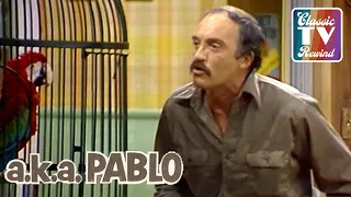 a.k.a. Pablo | Domingo Isn't Happy With Pablo's Job | Classic TV Rewind