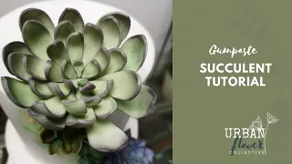 How to make an easy Gumpaste / Flower Paste / Sugar Succulent (Echeveria )