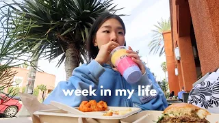 week in my life │ back home in LA, erewhon mukbang, taking polo to the er
