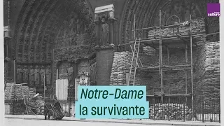 Notre-Dame de Paris : histoire d'une survivante - #CulturePrime