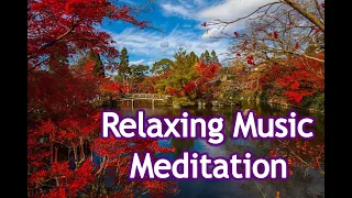 1-hour Music Therapy | In The Temple Garden - Aaron Kenny