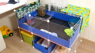 Как мы делали стеклянный вольер для морских свинок / How to create a glass C&C cage wall for piggies