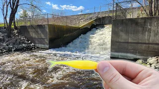 The HOT WATER Fishing Spillway Comes ALIVE!!