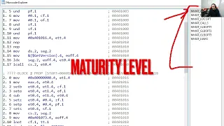 Introduction to the Hex Rays Decompiler SDK