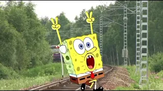 train & sponge bob