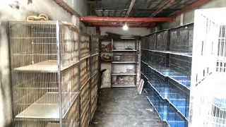 Used Cage Shop In Karachi - Second Hand Cage