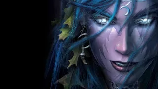 Warcraft III Invitational - New PTR Widescreen Gameplay