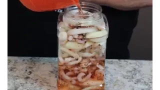 How to make PICKLED SHRIMP!  This stuff is great.