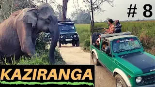 EP 8 Kaziranga National Park Jeep  safari |  Folk dance at Orchid park