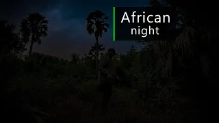 Nature and wildlife sounds - night in a remote African forest