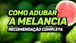 Como adubar a MELANCIA - Recomendação completa