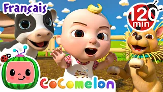 Le vieux MacDonald (Bébé Animaux) | CoComelon en Français | Chansons pour bébés