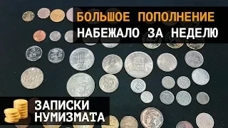 Пополнение коллекции монет  Набежало за неделю