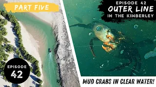 MUD CRABS and MANGROVE JACK IN CRYSTAL CLEAR WATER - Ep 42