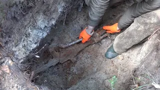 Arms warehouse in the dugout! Excavations in Karelia Yuri Gagarin