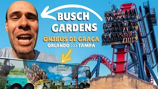 Busch Gardens - Como ir DE GRAÇA de Orlando para Tampa