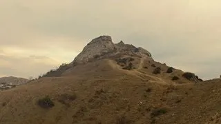 Сахарная голова. Судак.