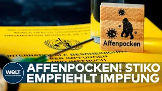 AFFENPOCKEN: Stiko empfiehlt eine Impfung für Risikogruppen