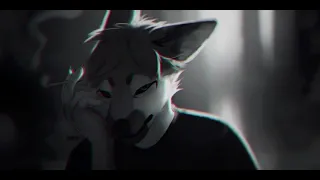 Furry Song - Love Is Gone