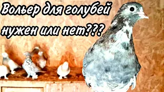 Вольер для голубей,нужен или нет?An aviary for pigeons, is it necessary or not?