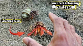 ciri ciri pantai yg ada kelomangnya