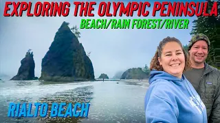 Free camping on the South Fork Hoh River/Exploring Rialto Beach & Hiking through the Rain Forest!