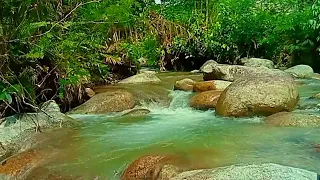 calming river water sounds for relaxation and calming bird sounds