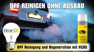 DPF reinigen ohne Ausbau - CLEANTEC Dieselpartikelfilter Reiniger Spray