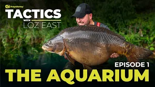 Tactics with Loz East | EP1: The Aquarium | Carp Fishing Tips | Stunning Carp 😍