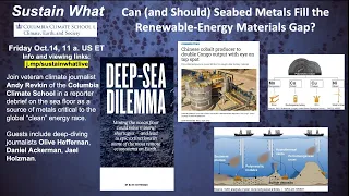 Can (and Should) Seabed Metals Fill the Renewable-Energy Materials Gap?