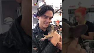 Cole Sprouse , lili reinhart and Madelaine petsch playing with a puppy