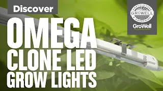 Picking LED Propagation Lighting? | Omega 18W Clone LED Grow Light | Discover