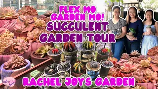 EP03 | RACHEL JOY'S SUCCULENT GARDEN TOUR | RARE GYMNO COLLECTIONS | By Intri's TV