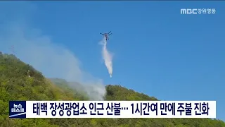 [단신] 태백 장성광업소 인근 산불..1시간여 만에 주불 진화 220503