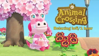 🌸 Animal Crossing lo-fi • music to sleep, study or relax to • 1 hour🌸