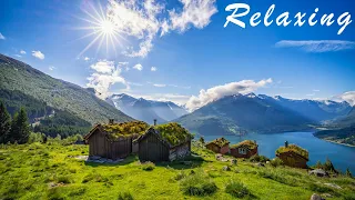 Relaxing Music For Nerves 🌿 Calming Music, Healing Music For The Heart,  And Blood Vessels #16