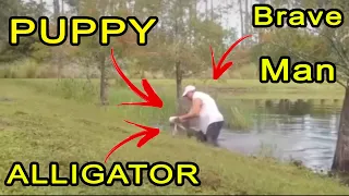 Florida Man Saves Puppy From Alligators Mouth! (BAREHANDED)