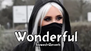 Wonderful - Alan Walker | (Slowed+Reverb) Slow + Reverb | New Song 22 August 2022
