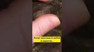 Когда хвастаешься шубой в соцсетях...